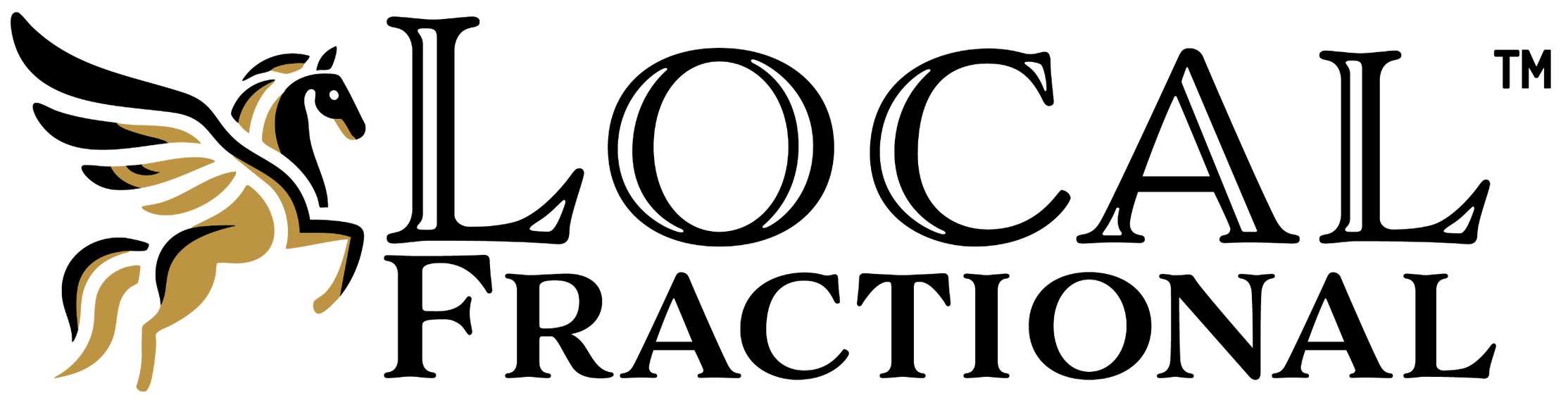 Denver Fractional CFO Denver Fractional CFO by Local Fractional LLC