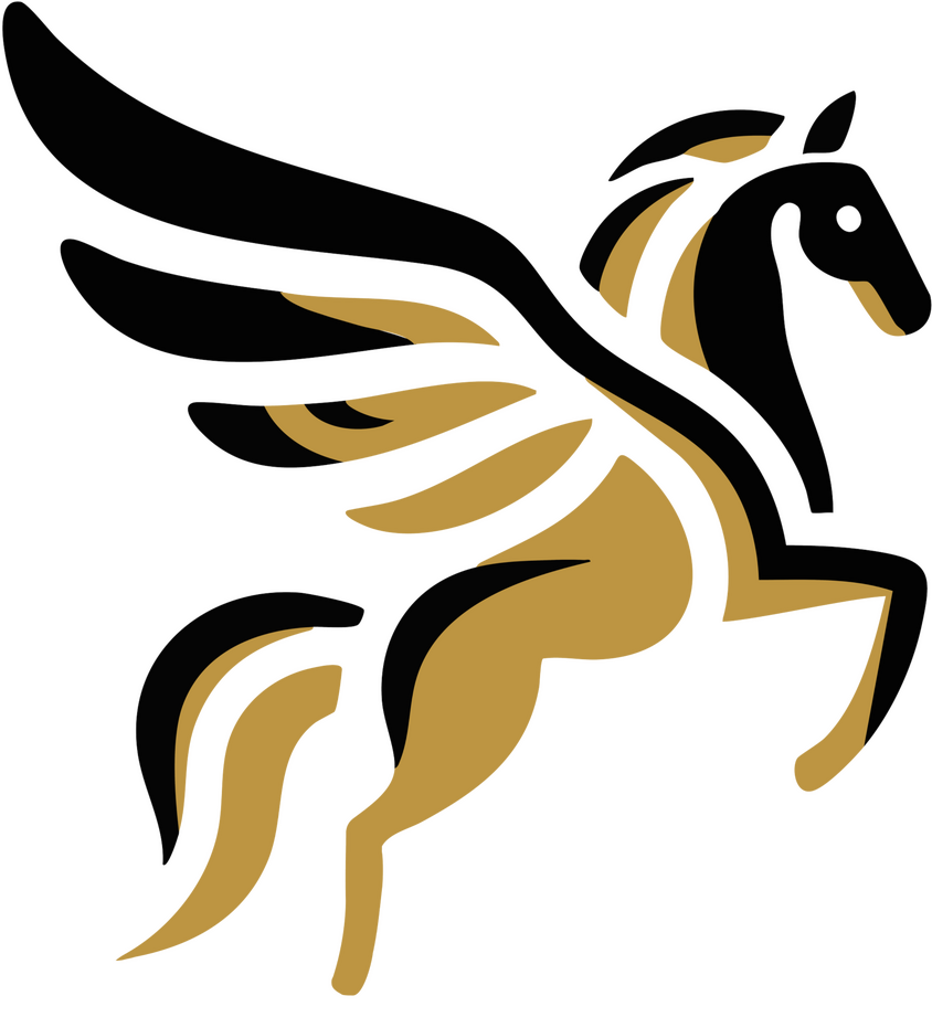 Denver Fractional CFO Fractional Executives